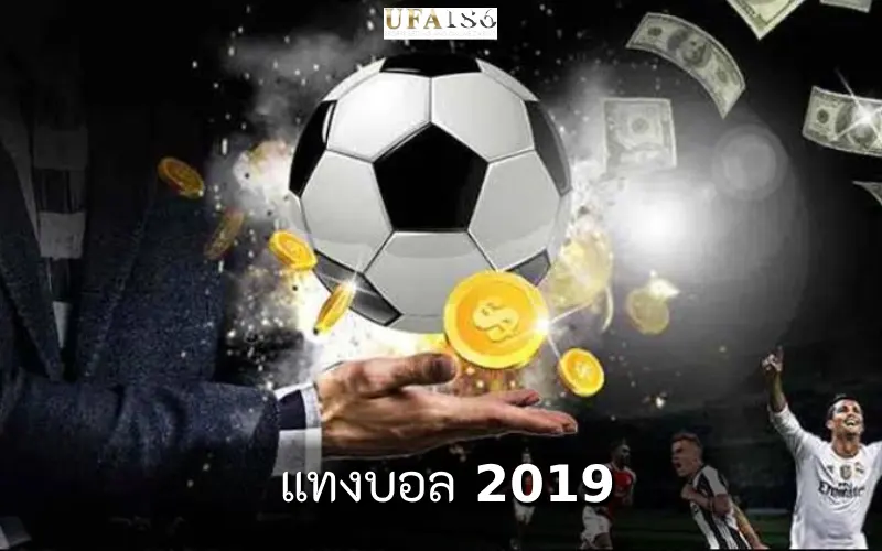 แทงบอล  2019